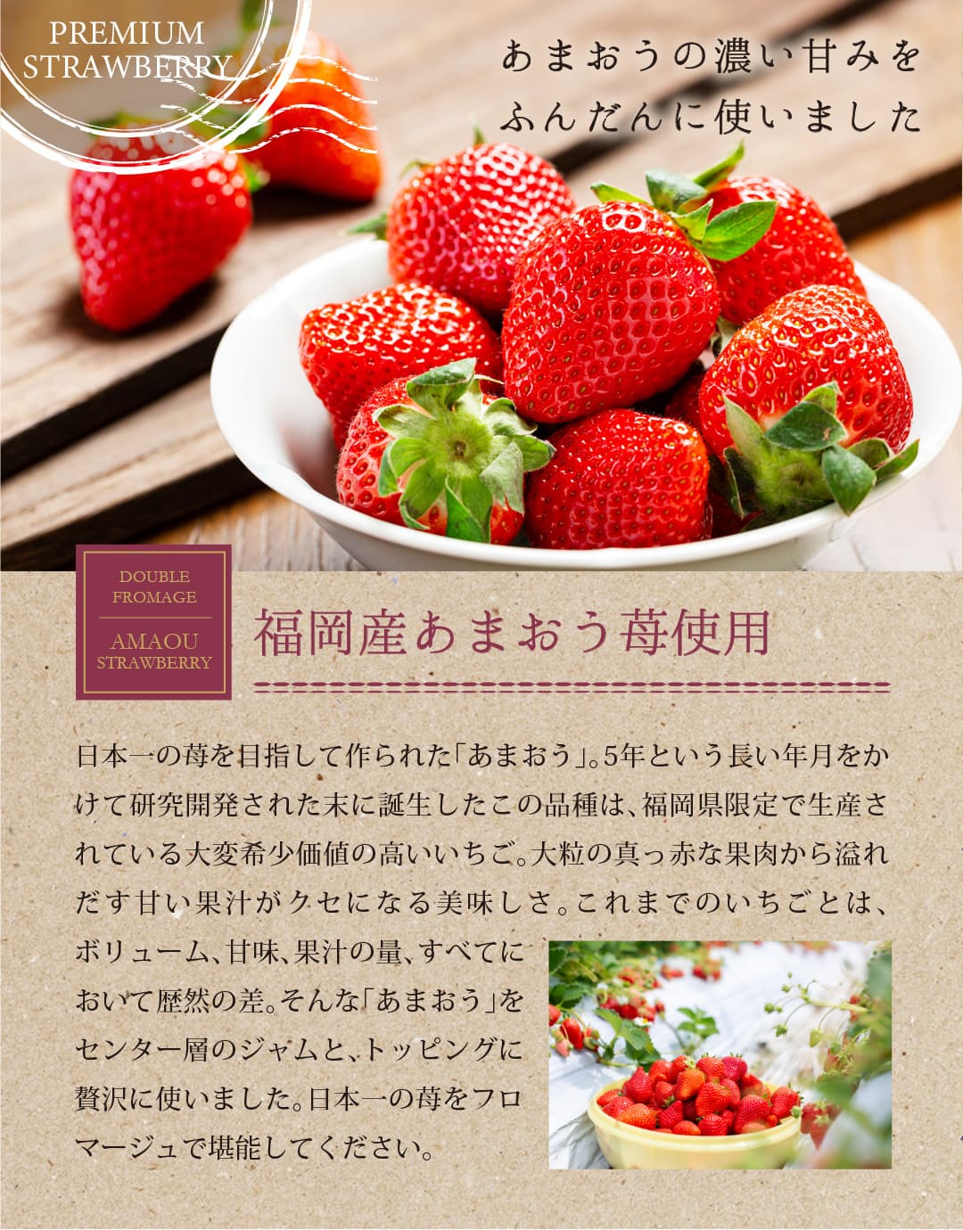 shirousagi あまおう苺ドゥーブルフロマージュ ケーキ 4号【冷凍便】