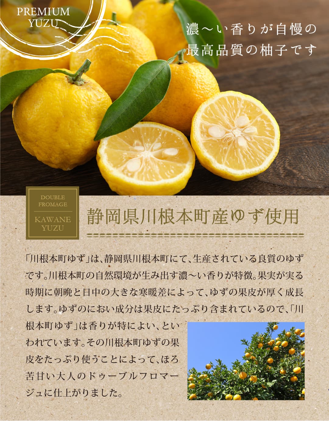 shirousagi 川根柚子ドゥーブルフロマージュ ケーキ 4号【冷凍便】