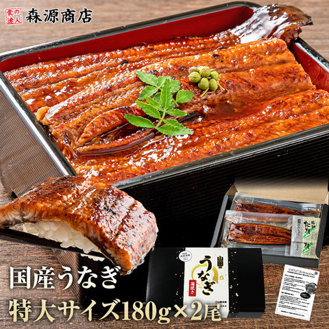 うなぎ ギフト 約180g×2尾 鹿児島県産  山田水産 無投薬