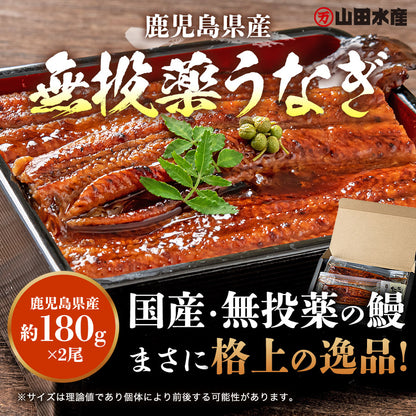 うなぎ ギフト 約180g×2尾 鹿児島県産  山田水産 無投薬