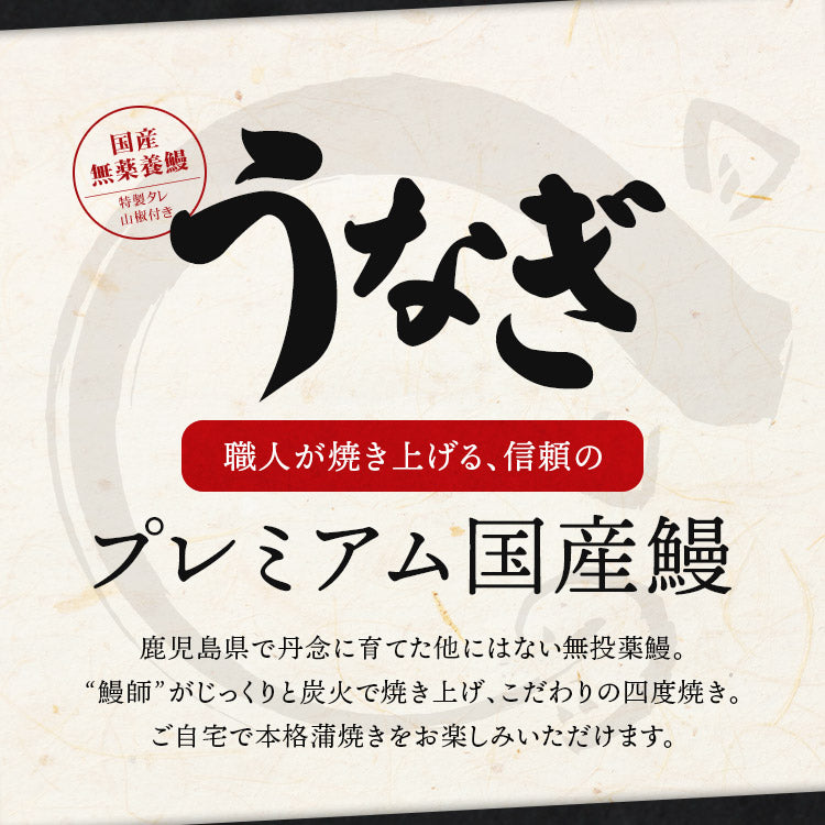うなぎ ギフト 約180g×2尾 鹿児島県産  山田水産 無投薬