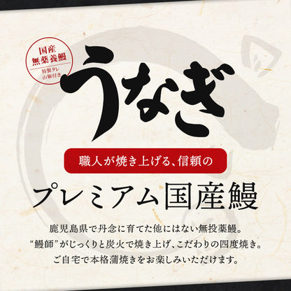 うなぎ ギフト 約180g×2尾 鹿児島県産  山田水産 無投薬
