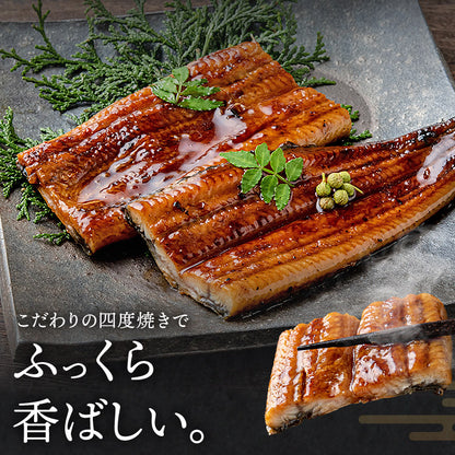 うなぎ ギフト 約180g×2尾 鹿児島県産  山田水産 無投薬