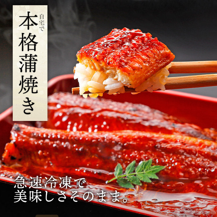 うなぎ ギフト 約180g×2尾 鹿児島県産  山田水産 無投薬