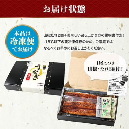 うなぎ ギフト 約180g×2尾 鹿児島県産  山田水産 無投薬