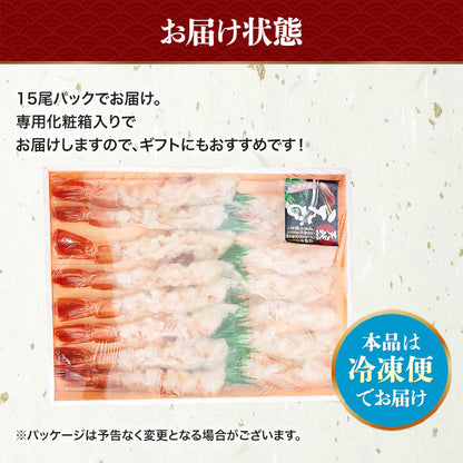 アルゼンチンアカエビ15尾