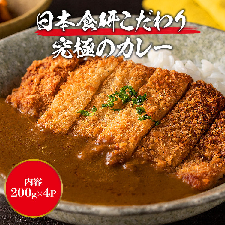 食研カレー 200g×4p
