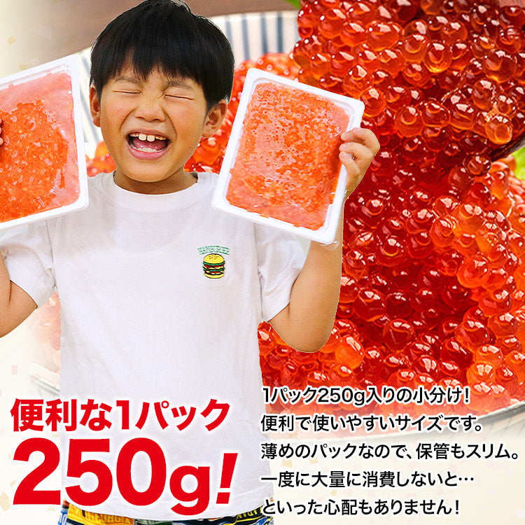 紅鮭いくら醤油漬け250g