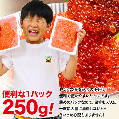 紅鮭いくら醤油漬け250g