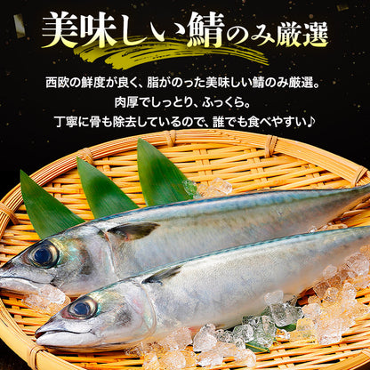 トロサバ1kg　骨取り有塩