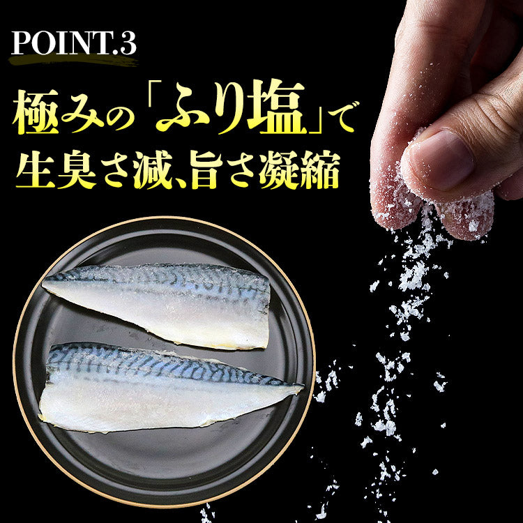 トロサバ1kg　骨取り有塩
