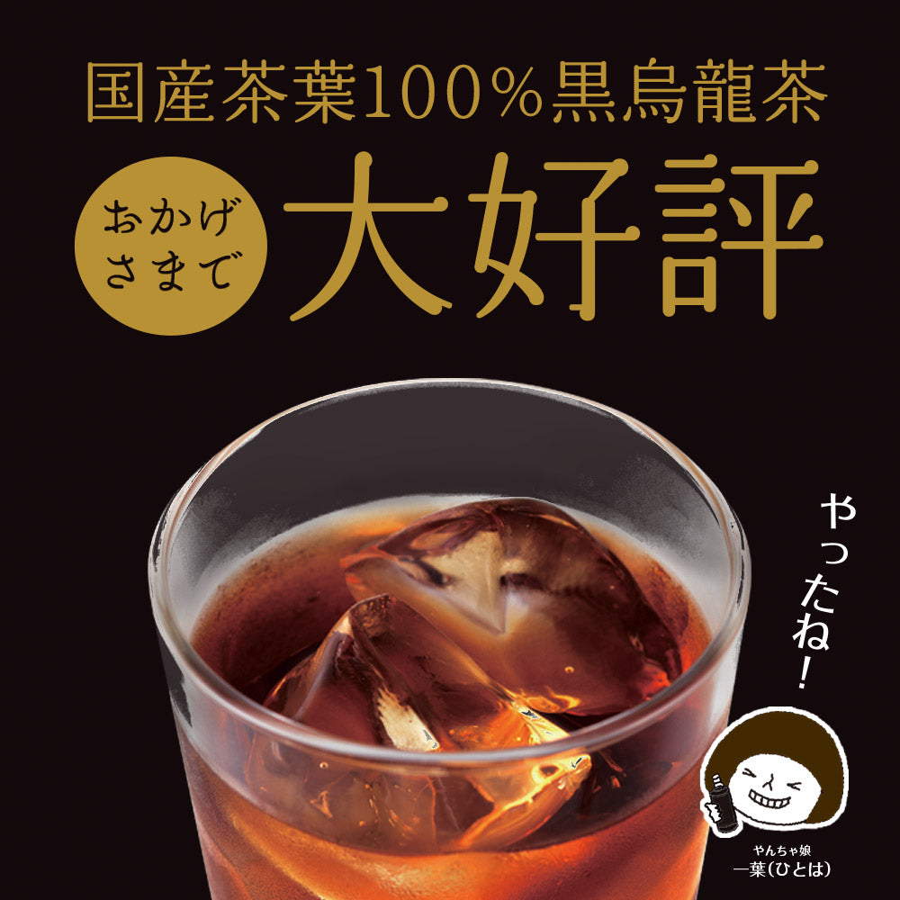 国産黒烏龍茶ペットボトル 500ml×24本