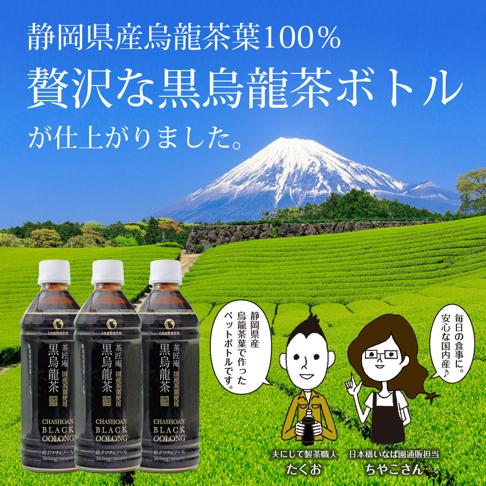 国産黒烏龍茶ペットボトル 500ml×24本