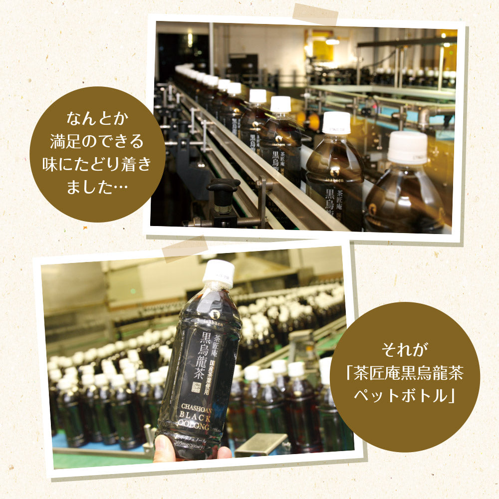 国産黒烏龍茶ペットボトル 500ml×24本