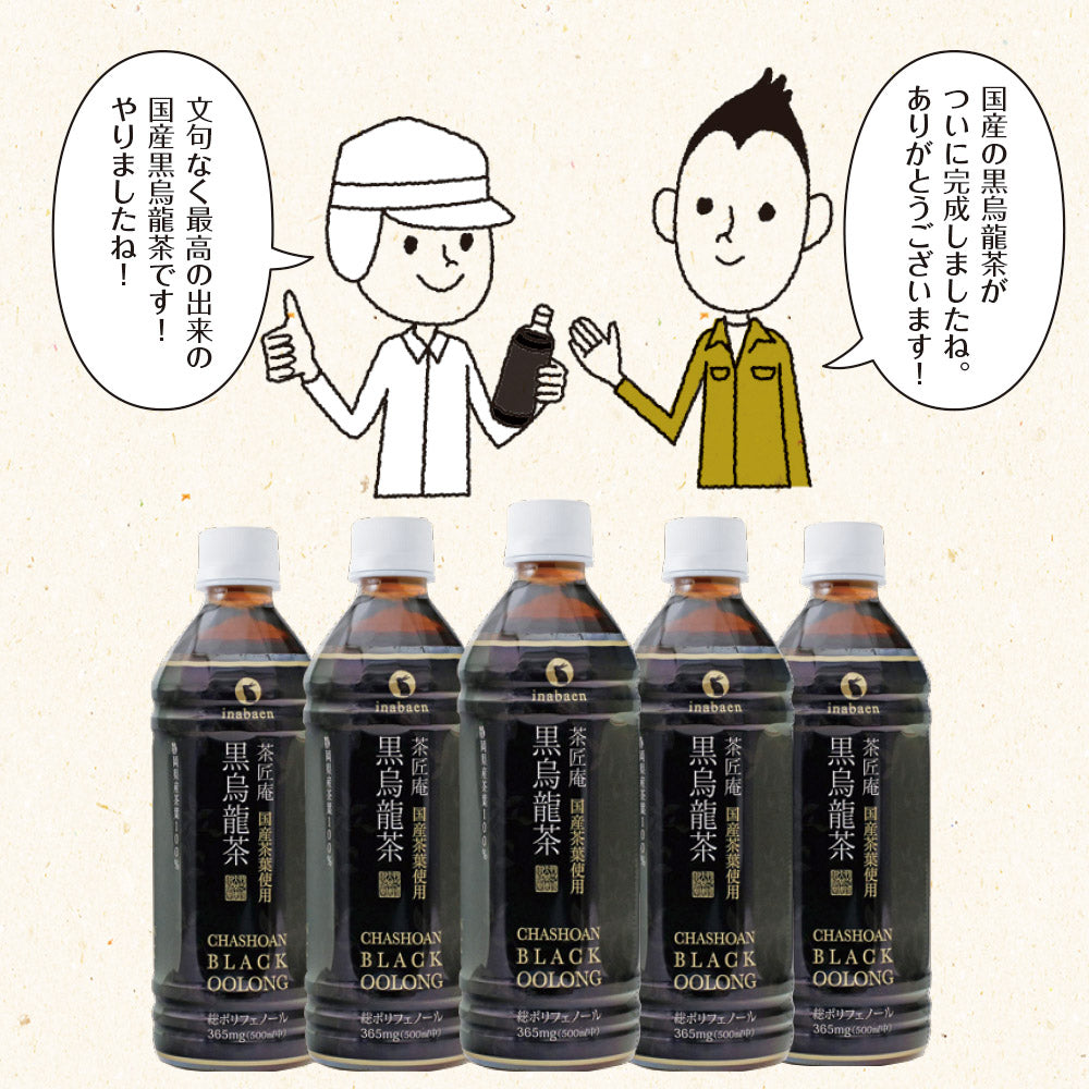 国産黒烏龍茶ペットボトル 500ml×24本