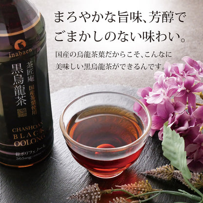 国産黒烏龍茶ペットボトル 500ml×24本