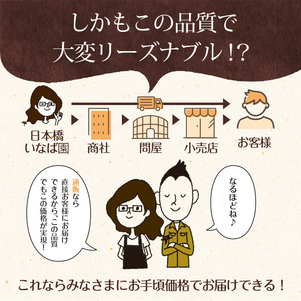 国産黒烏龍茶ペットボトル 500ml×24本