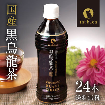 国産黒烏龍茶ペットボトル 500ml×24本