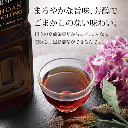国産黒烏龍茶ペットボトル 2L×9本