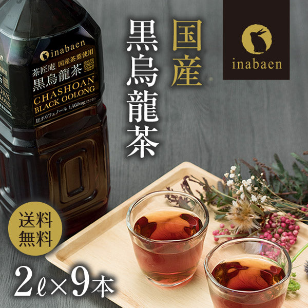 国産黒烏龍茶ペットボトル 2L×9本