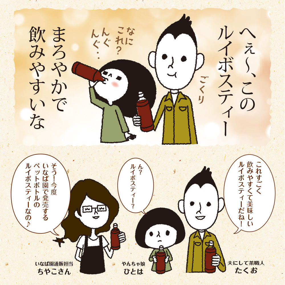 プレミアムルイボスティーペットボトル 500ml×24本