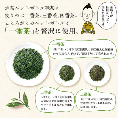 【機能性表示食品】茶匠庵 緑茶ペットボトル 500ml×24本