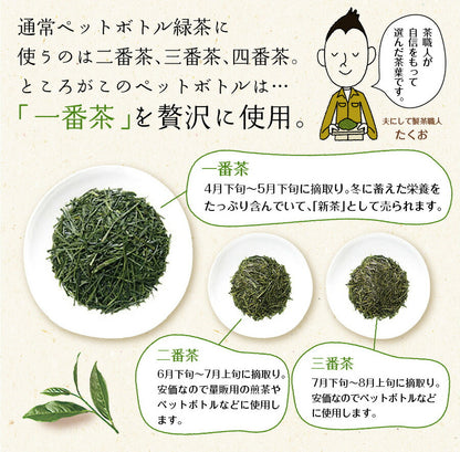 プレミアム緑茶ペットボトル 500ml×24本