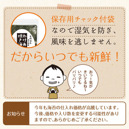 有明海産 訳あり焼き海苔 全型25枚