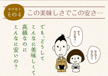 有明海産 一番摘み 訳ありプレミアム味付け海苔 8切120枚