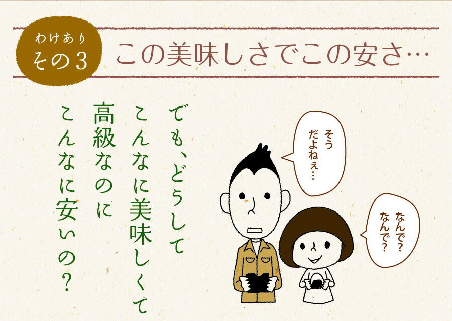 有明海産 訳あり味付け海苔 8切160枚