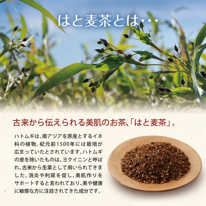 鳥取県産 はとむぎ茶 ティーバッグ 60包入り