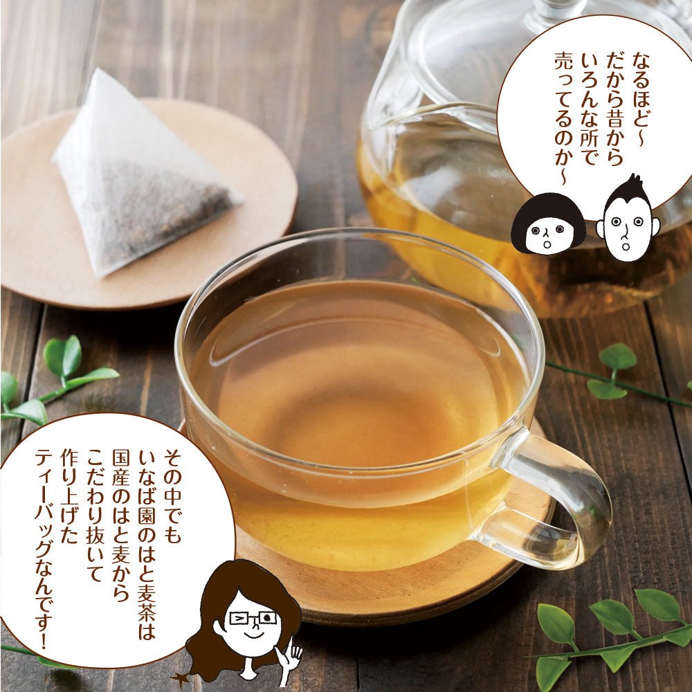 鳥取県産 はとむぎ茶 ティーバッグ 60包入り