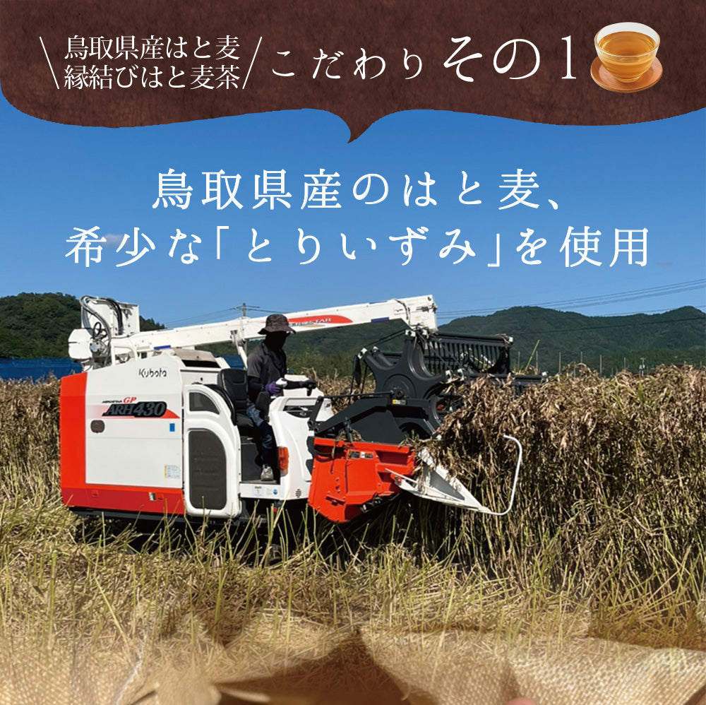 鳥取県産 はとむぎ茶 ティーバッグ 60包入り