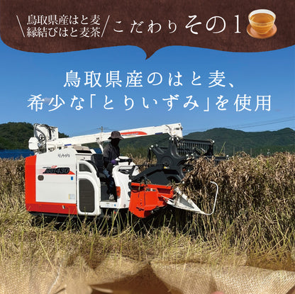鳥取県産 はとむぎ茶 ティーバッグ 60包入り
