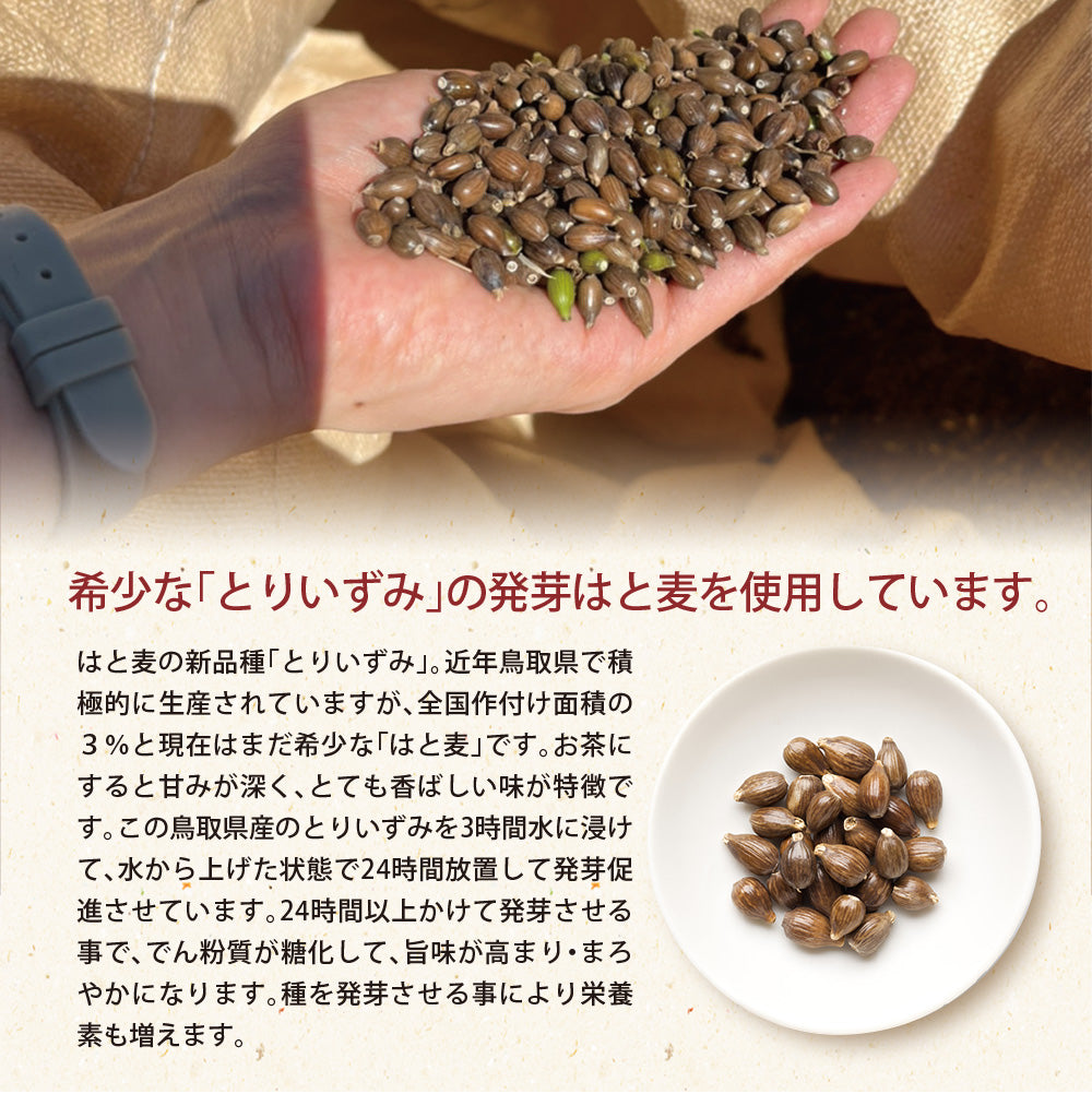 鳥取県産 はとむぎ茶 ティーバッグ 60包入り