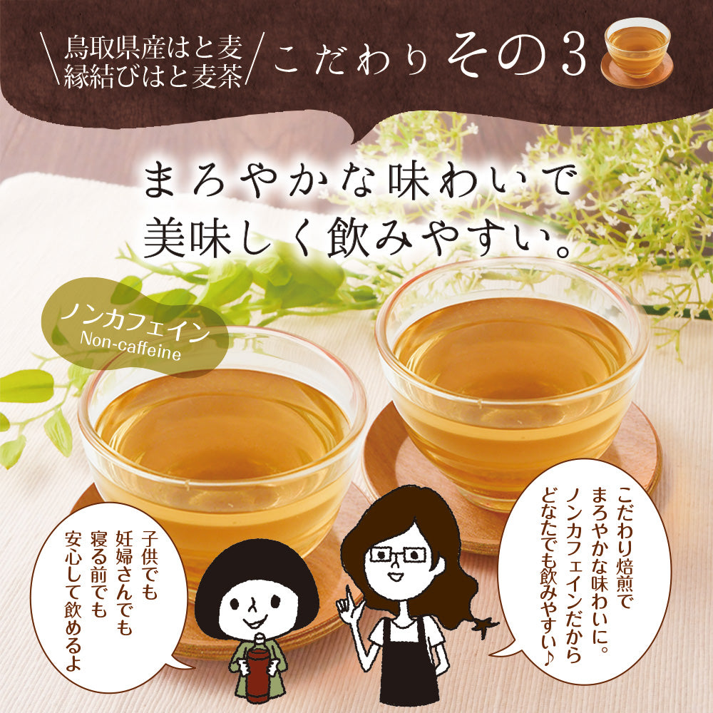 鳥取県産 はとむぎ茶 ティーバッグ 60包入り