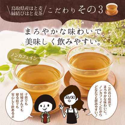 鳥取県産 はとむぎ茶 ティーバッグ 60包入り