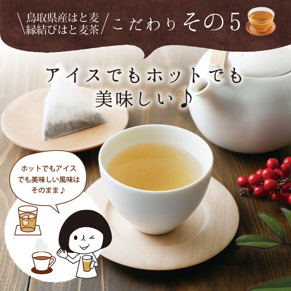 鳥取県産 はとむぎ茶 ティーバッグ 60包入り