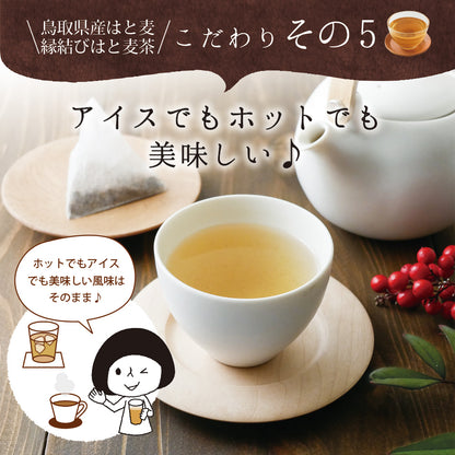 鳥取県産 はとむぎ茶 ティーバッグ 60包入り
