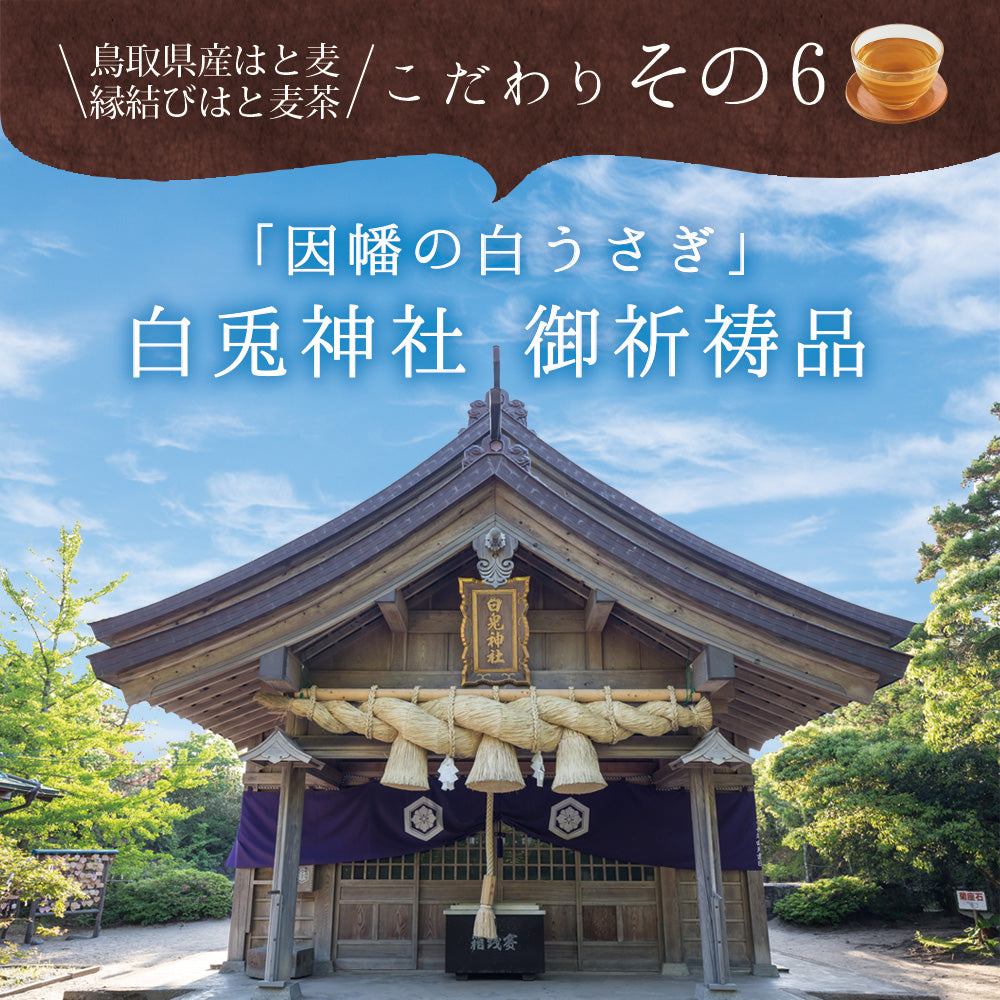 鳥取県産 はとむぎ茶 ティーバッグ 60包入り