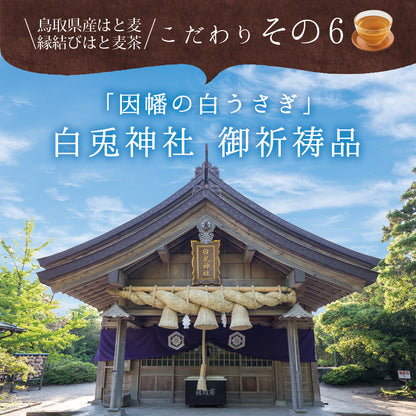 鳥取県産 はとむぎ茶 ティーバッグ 60包入り