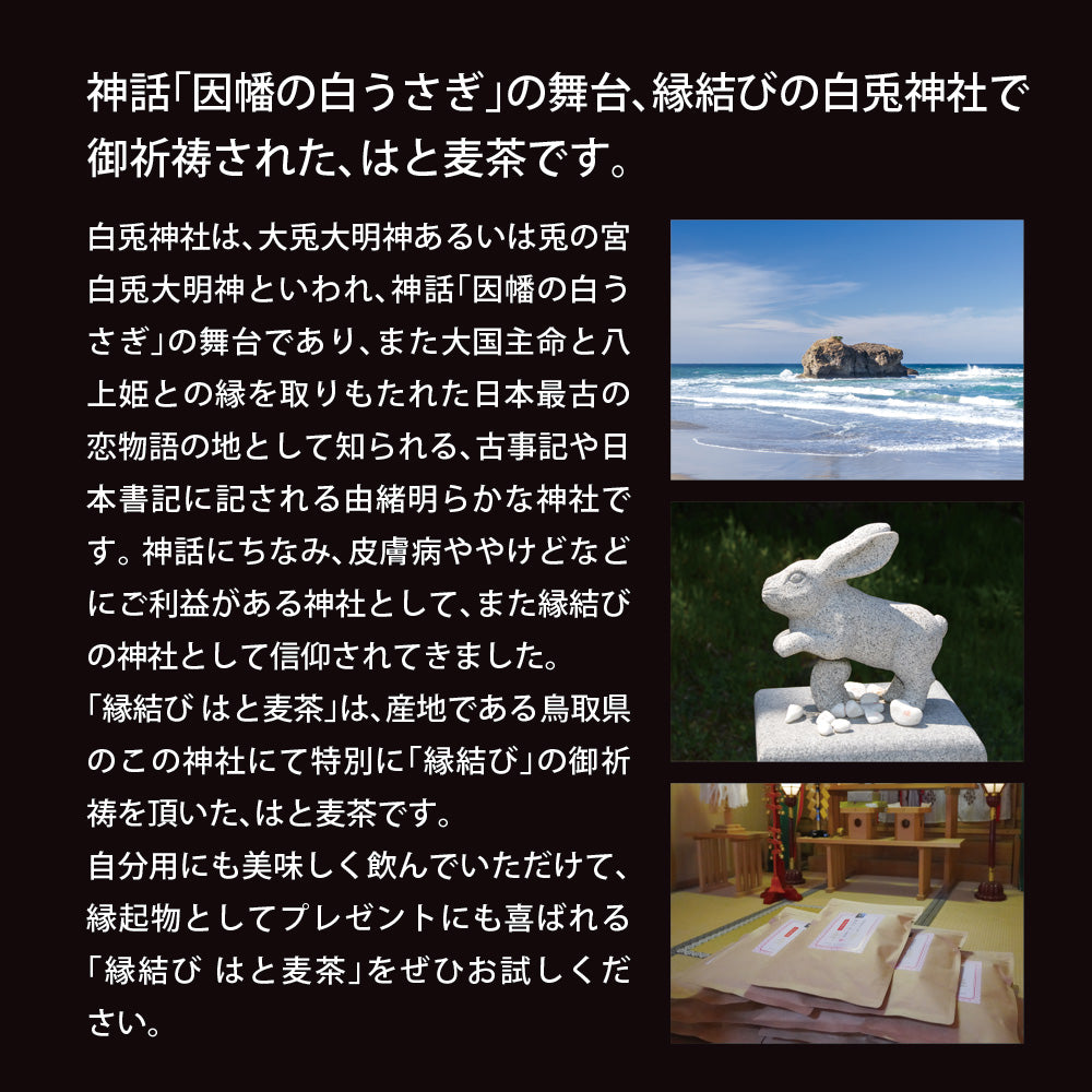 鳥取県産 はとむぎ茶 ティーバッグ 60包入り