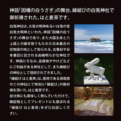 鳥取県産 はとむぎ茶 ティーバッグ 60包入り