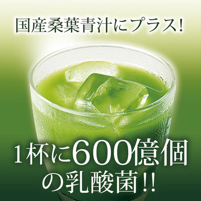 【機能性表示食品】国産桑葉の乳酸菌青汁 30包入り
