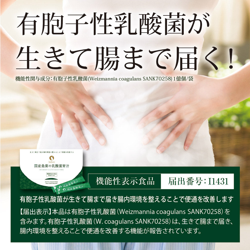 【機能性表示食品】国産桑葉の乳酸菌青汁 30包入り