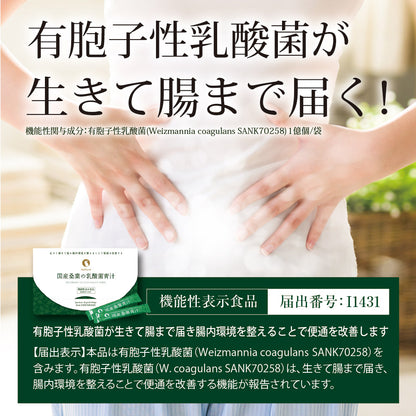 【機能性表示食品】国産桑葉の乳酸菌青汁 30包入り