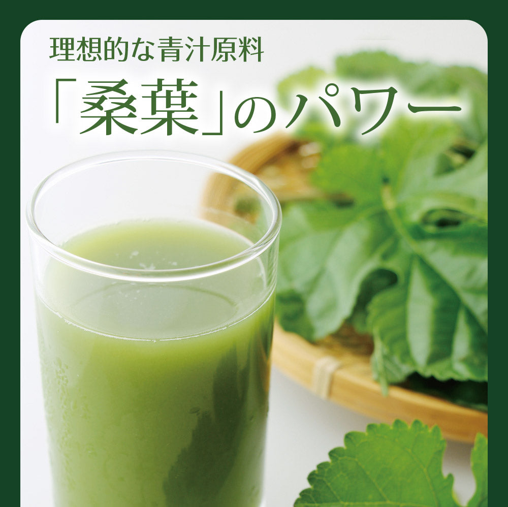 【機能性表示食品】国産桑葉の乳酸菌青汁 30包入り