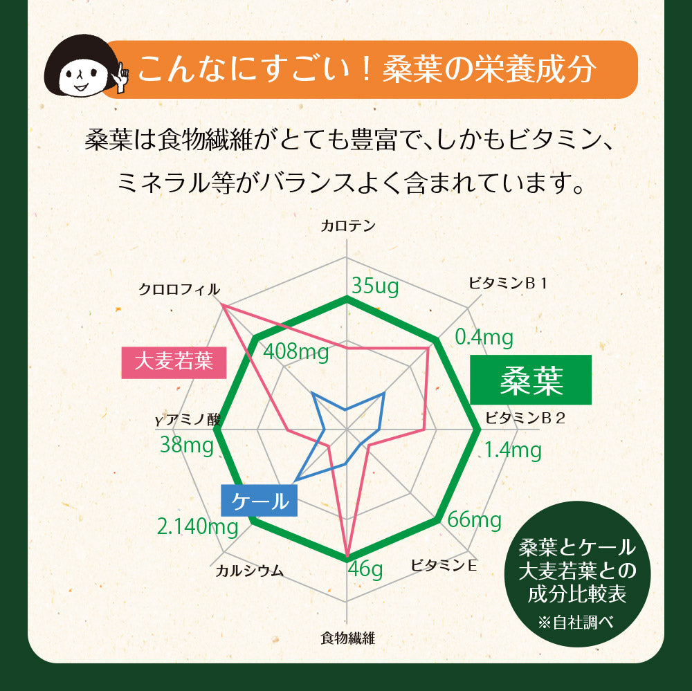 【機能性表示食品】国産桑葉の乳酸菌青汁 30包入り