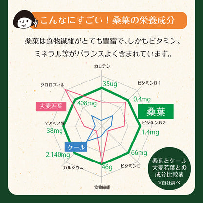 【機能性表示食品】国産桑葉の乳酸菌青汁 30包入り