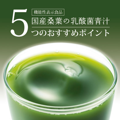 【機能性表示食品】国産桑葉の乳酸菌青汁 30包入り